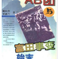 AB Corps and the Futian Incident